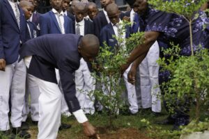 UBA Foundation Plants 100 Trees In Lagos Schools To Mark World Environment Day