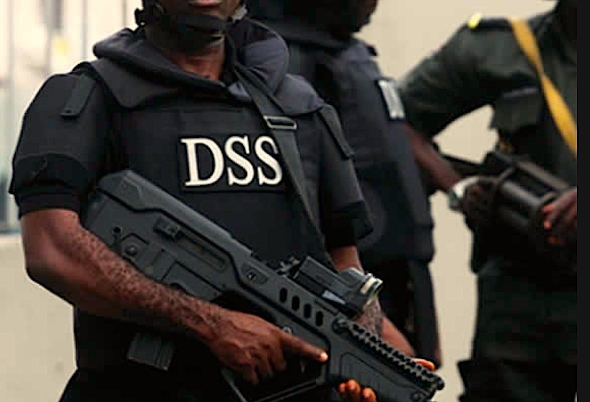 The DSS Operates Within Its Mandate By Peter Afunanya