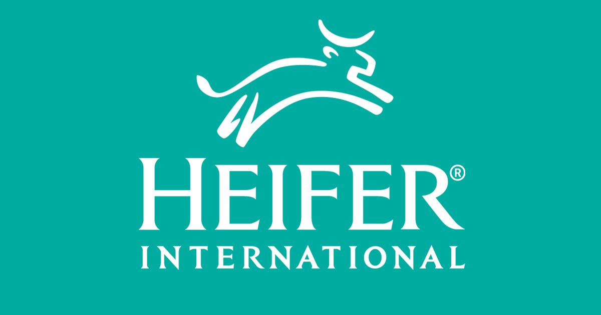 Recruitment: Apply For Heifer International Recruitment 2022