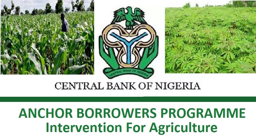 How CBN's Anchor Borrowers' Programme Save Nigeria