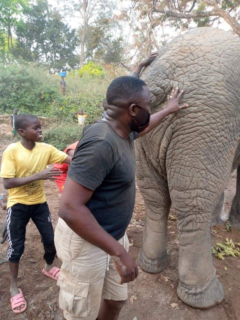 PHOTOS: Elephant Spotted By Farmers In Oyo State