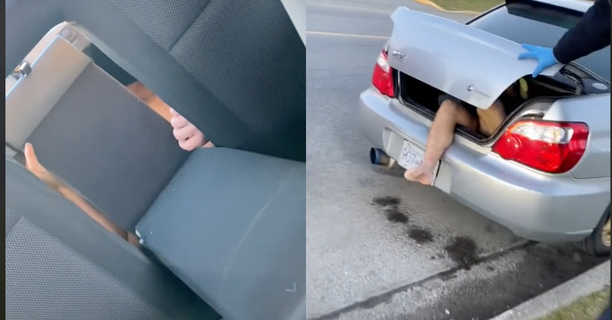 Woman Discovers Naked Homeless Man Lives In The Trunk Of Her Car