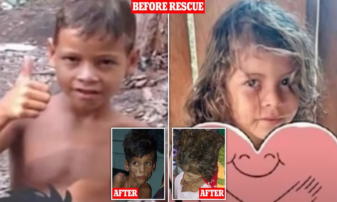 Boys Found Alive In Rainforest 4 Weeks After