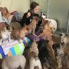 Woman Saves Fifty Dogs From War