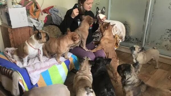 Woman Saves Fifty Dogs From War