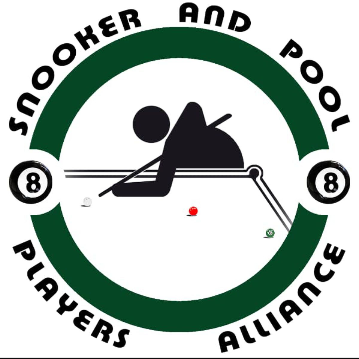 Snooker And Pool Alliance Stages Qualifier For China Tournament
