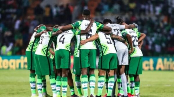 Eagles Failure To Fly: Why NFF Must Go By Oladipo Sanusi