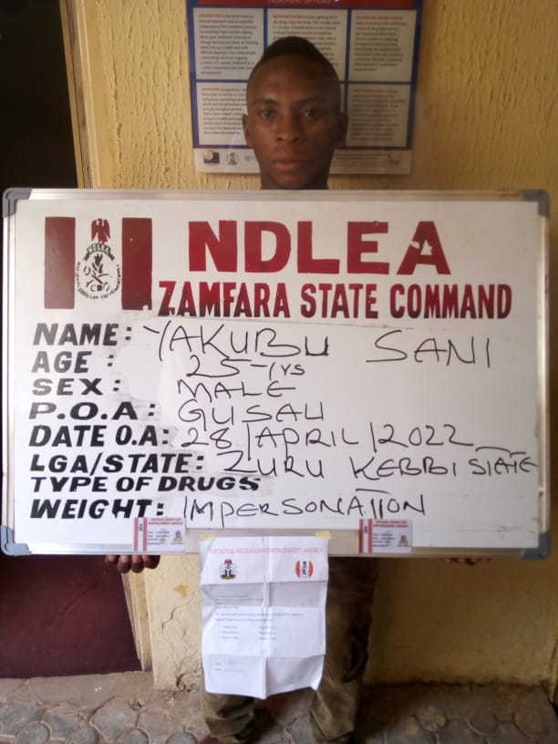 NDLEA Seizes 203879 Tramadol Tabs In 4 States' Raids