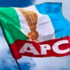 Court Sacks APC Governorship Candidate - Orders Fresh Primary