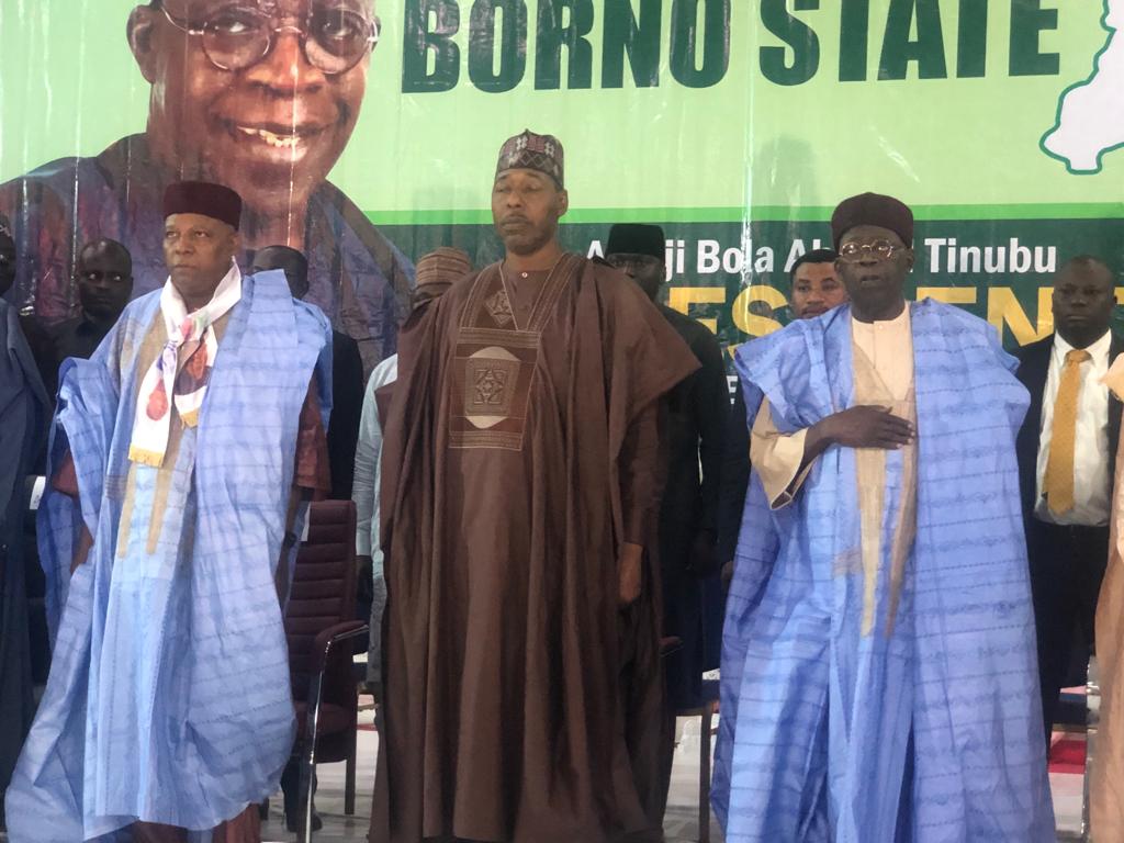 APC Primaries: I'm Smarter Than Other Presidential Aspirants - Tinubu Tells Borno Delegates 