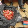 PHOTOS: Police Intercept Buses Loaded With Ammunition