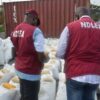 Abuja: Illicit Drugs Worth N57m Seized In Less Than 8 Months - NDLEA