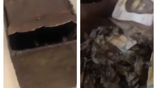 VIDEO: Nigerians React As Bank Customer Deposits Mutilated N1000 Notes