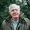 David Attenborough’s Biography And Net Worth