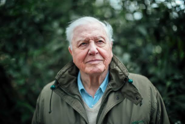 David Attenborough’s Biography And Net Worth