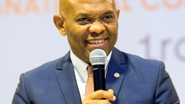 Elumelu Proposes Name-Shaming For Energy Thieves To Combat Power Sector Challenges