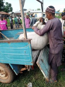 TCEEF Donates Cows And Bags Of Rice To Over 500 Muslims In Edo