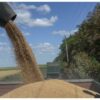Russia Halts Participation In Ukraine Grain Deal