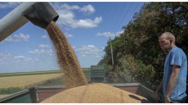Russia Halts Participation In Ukraine Grain Deal