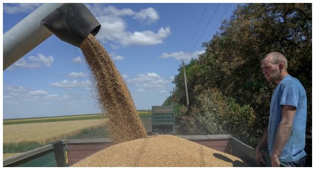 Russia Halts Participation In Ukraine Grain Deal