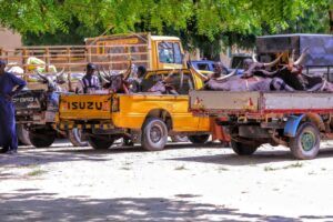Zulum Approves N30k Pallative And Food Items For Corp Members