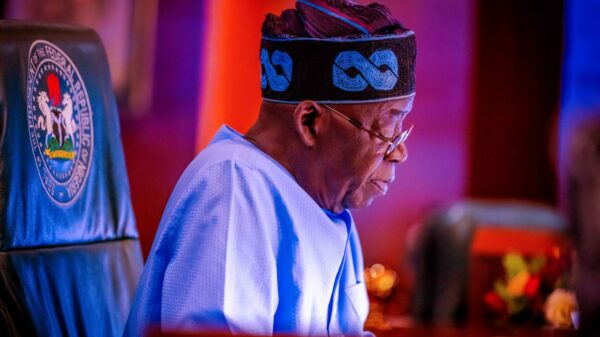 Tinubu Appoints Olasupo Olusi As MD Bank of Industry