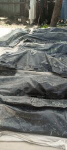 Again Boko Haram Kills 13 Rice Farmers in Borno Villages