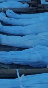 Again Boko Haram Kills 13 Rice Farmers in Borno Villages