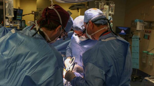 U.S Hospital Successfully Carries Out Pig To Man Kidney Transplant
