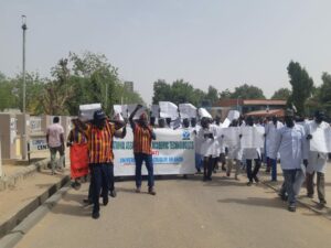 NAAT Members Commence 3-Day Warning Strike In Borno