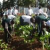 ‘Young Farmers Club’ To Be Launched In Public Schools To Promote Agriculture