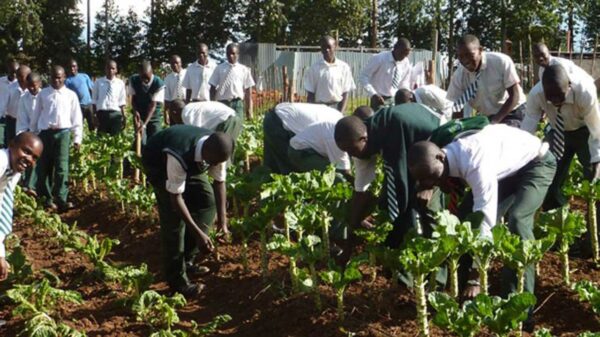 ‘Young Farmers Club’ To Be Launched In Public Schools To Promote Agriculture