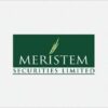 Recruitment: Apply For Meristem Securities Limited Recruitment 2024