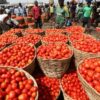 Why Tomatoes Are Costly And Scarce - FG