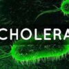 WHO Announces Global Resurgence Of Cholera