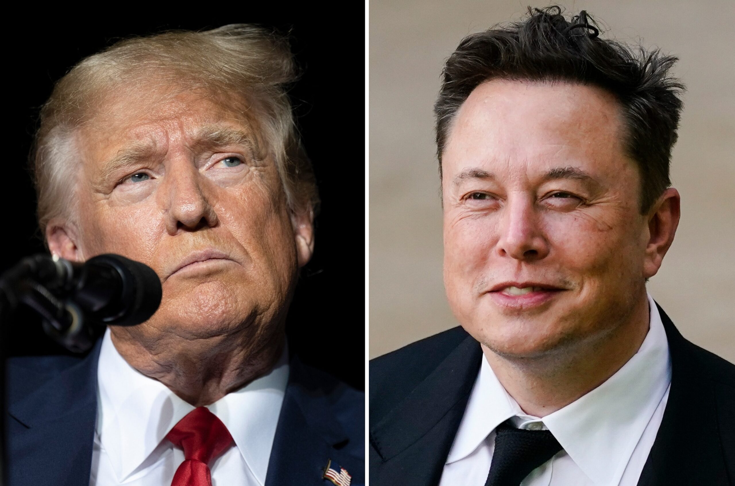 Elon Musk Slams Trump's Economic Bill As 'Disgusting Abomination'