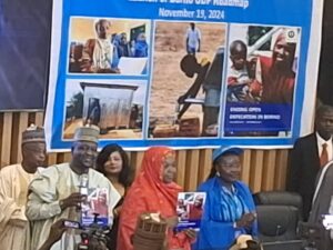 Borno Launches Campaign To End Open Defecation