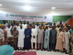 Insurgency: NEDC Holds Workshop/Training For Journalists And CSOs In North East Region
