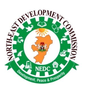 NEDC Pledges Greater Partnership With Journalists And CSOs In North East Region