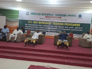 Insurgency: NEDC Holds Workshop/Training For Journalists And CSOs In North East Region