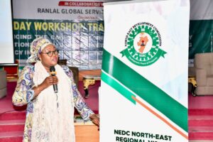 NEDC Pledges Greater Partnership With Journalists And CSOs In North East Region