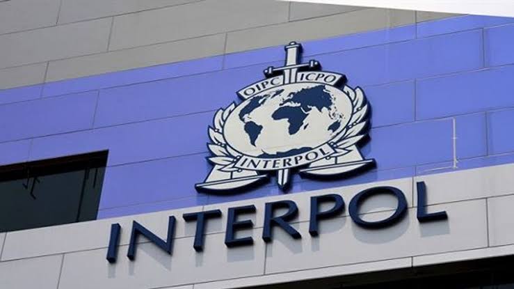 Interpol Issues Red Notices for 14 Nigerians Wanted for Various Crimes