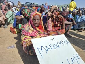 Borno's Livestock Settlement: A Haven For Displaced Persons And Hub For Economic Prosperity