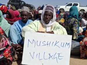 Borno's Livestock Settlement: A Haven For Displaced Persons And Hub For Economic Prosperity