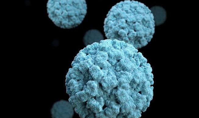 Norovirus Cases In English Hospitals Hit Record High