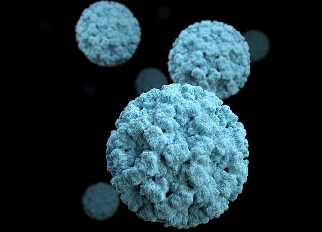 Norovirus Cases In English Hospitals Hit Record High