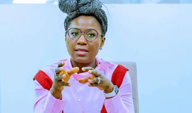 Nigeria Didn't Properly Vet Buyers - Presidential Aide On Power Sector Privatization