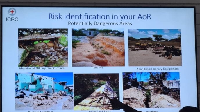 ICRC Conducts Weapon Contamination And Risk Awareness Training For Journalists In Borno