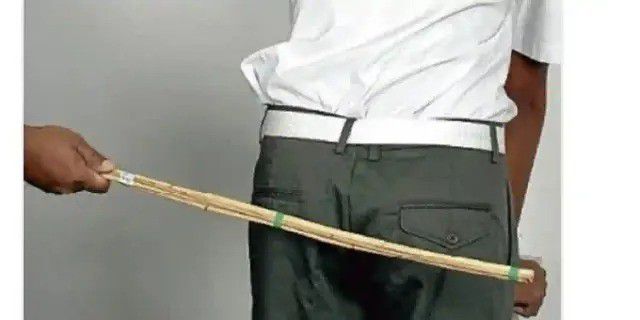 Flogging Students Is Prohibited In Lagos Schools - Commissioner Warns Teachers