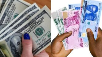 Dollar To Naira Exchange Rate For Today